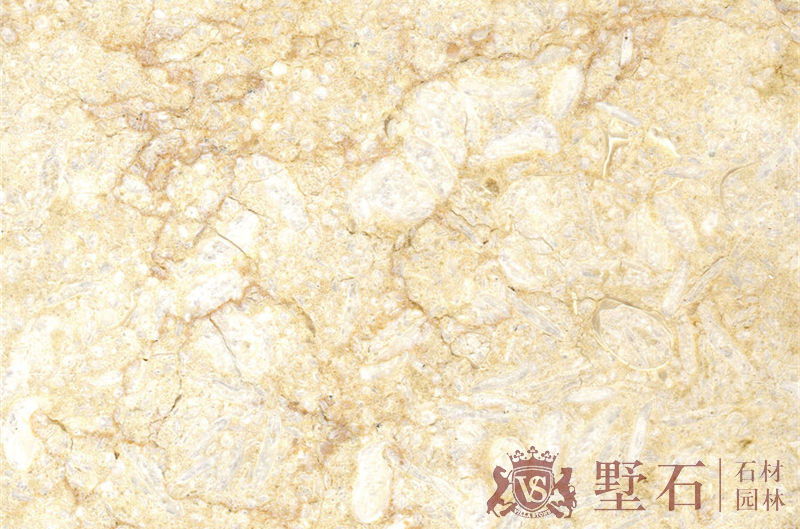 ̻Ի Sunny Gold<